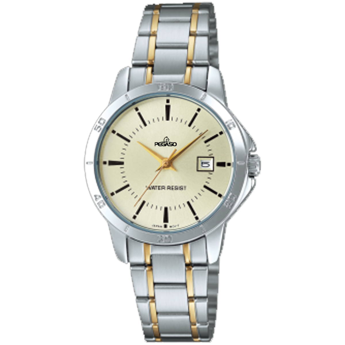 P6691SG-RELOJ PEGASO CALENDARIO P/M BICOLOR HOMBRE-071801B