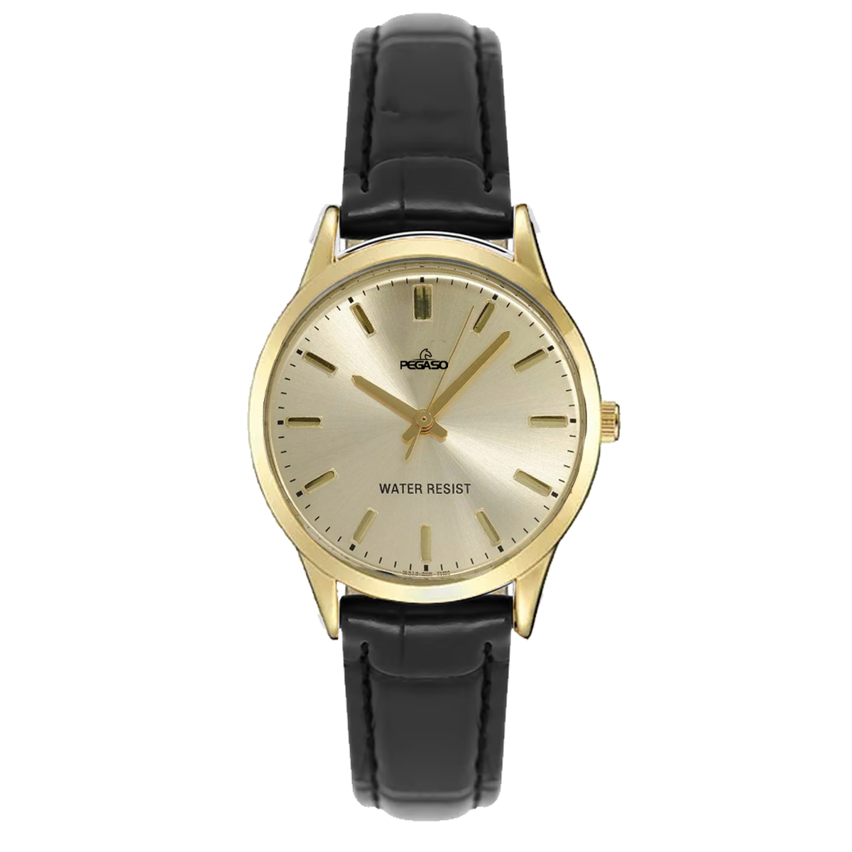 P6495G-RELOJ PEGASO P/C HOMBRE CAJA DORADA-L011801A