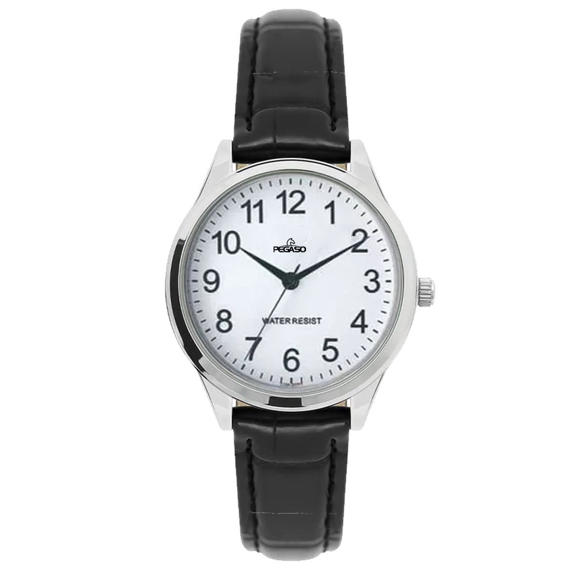 P6495S-RELOJ PEGASO P/C HOMBRE CJA PLATEADA-L012204A