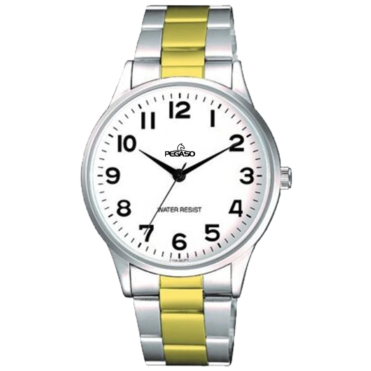 P6495SG-RELOJ PEGASO P/M BICOLOR HOMBRE-072204A