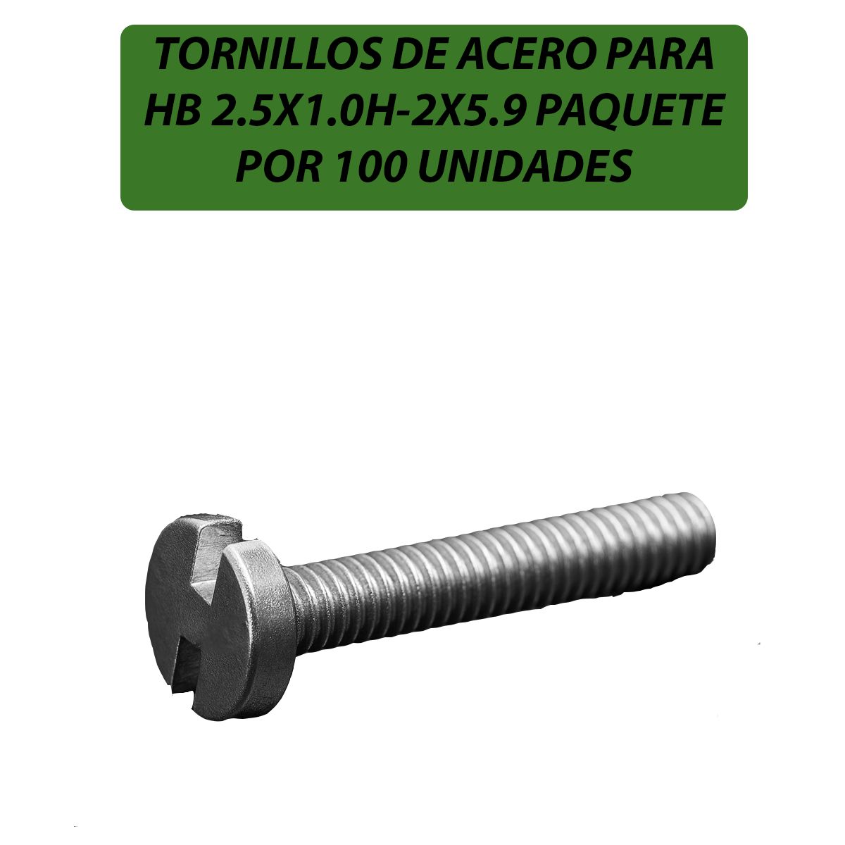 H2.5X1H-2X5.9-TORNILLOS DE ACERO PARA HB 2.5X1.0H-2X5.9 PAQUETE POR 100 UNIDADES-B100