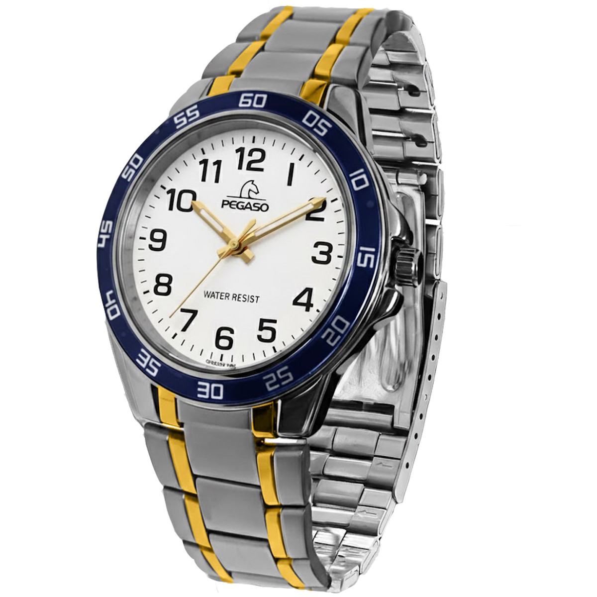 P6552SG-RELOJ PEGASO P/M BICOLOR HOMBRE-0722BU04A