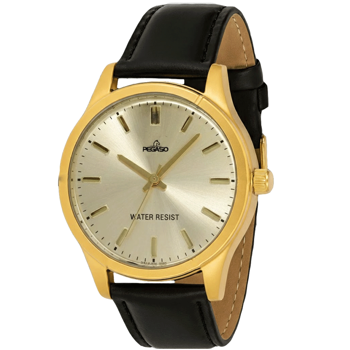 P6495G-RELOJ PEGASO P/C HOMBRE CAJA DORADA-L011801A