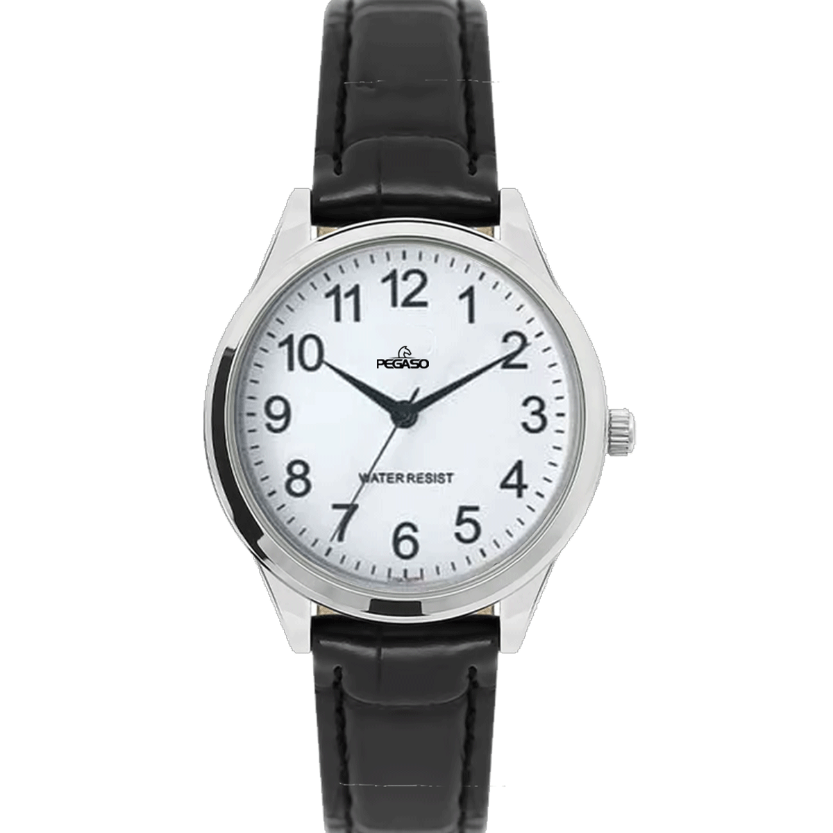 P6495S-RELOJ PEGASO P/C HOMBRE CJA PLATEADA-L012204A